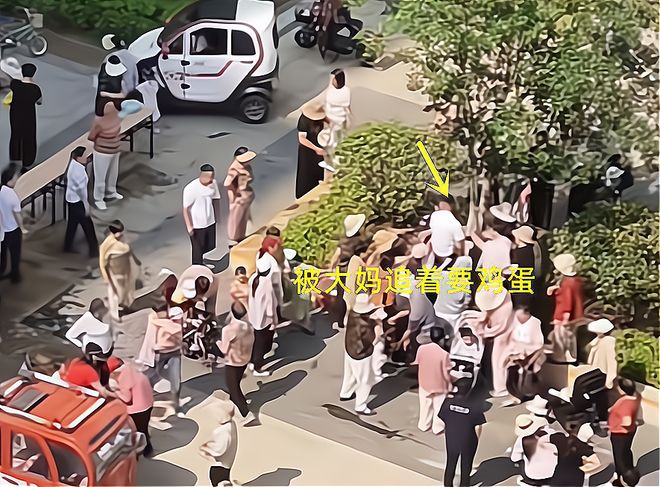 包粽子大妈连盆都端走了还围堵物业要鸡蛋pg电子模拟器试玩山东：小区端午免费(图5)